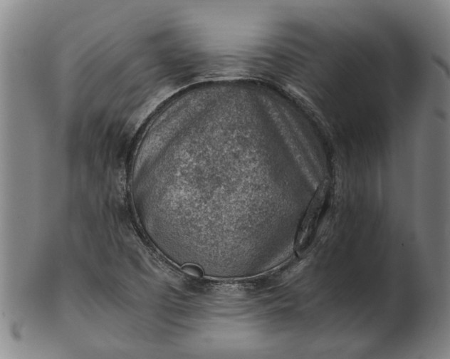 X0000101651457200807241344