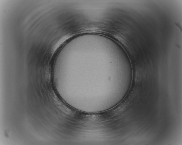 X0000101651458200807241344