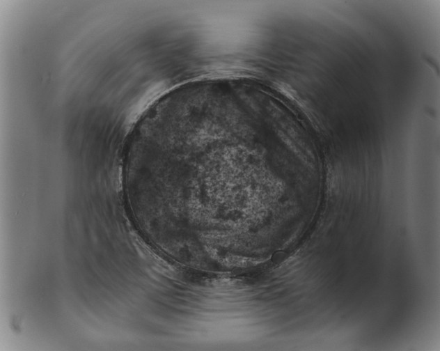 X0000101651459200807241344