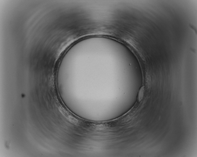 X0000101651460200807241344