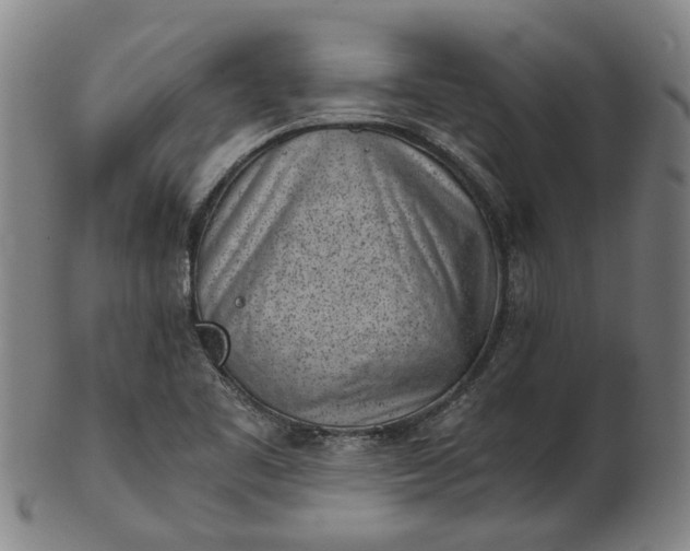 X0000101651461200807241344