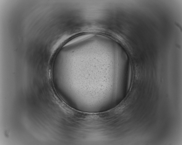 X0000101651462200807241344