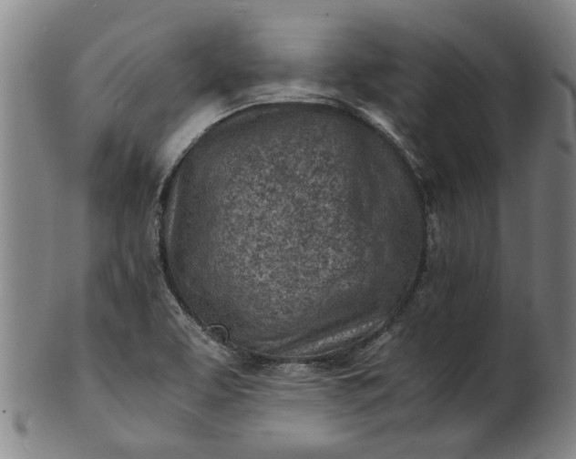 X0000101651463200807241344