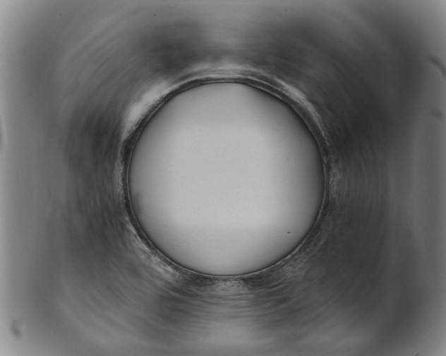 X0000101651464200807241344