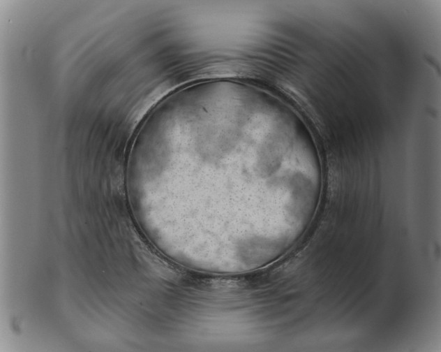 X0000101651465200807241344