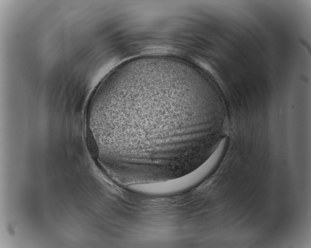 X0000101651467200807241344