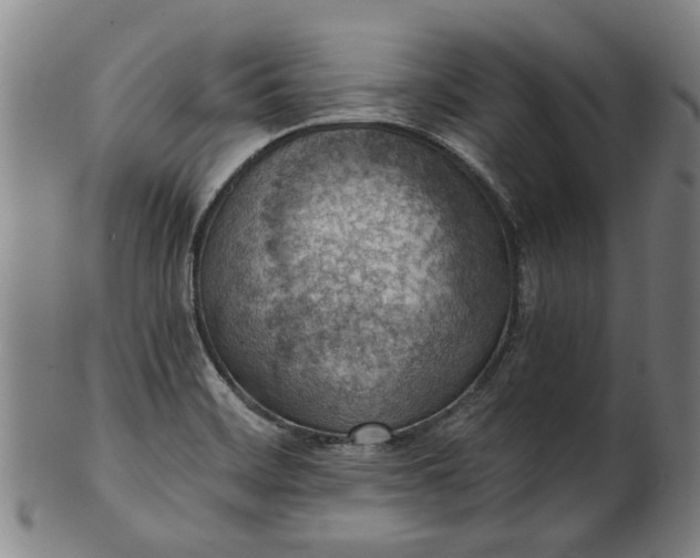 X0000101651468200807241344