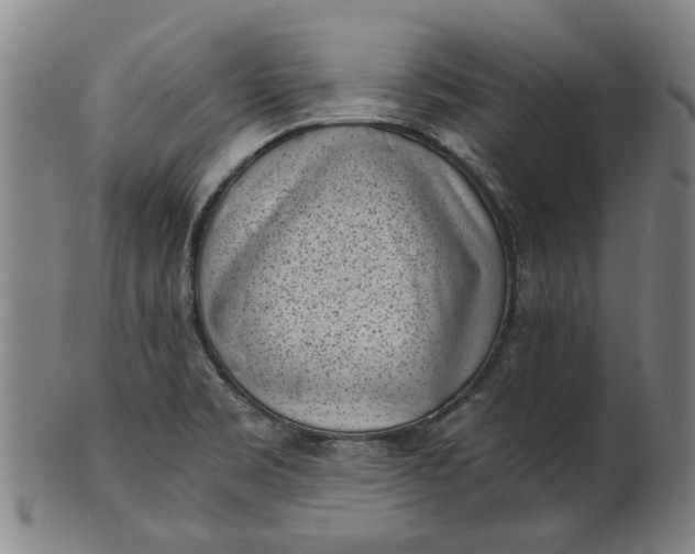 X0000101651469200807241344