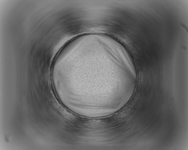 X0000101651470200807241344