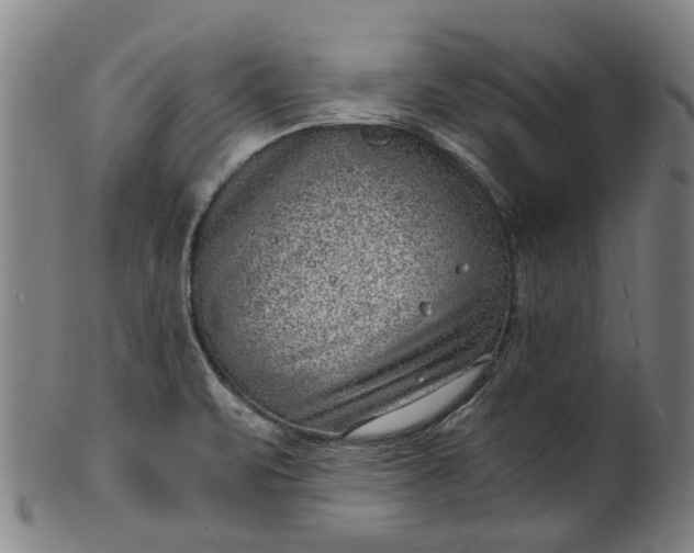 X0000101651471200807241344