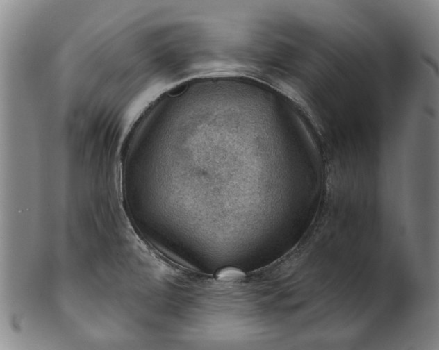 X0000101651472200807241344