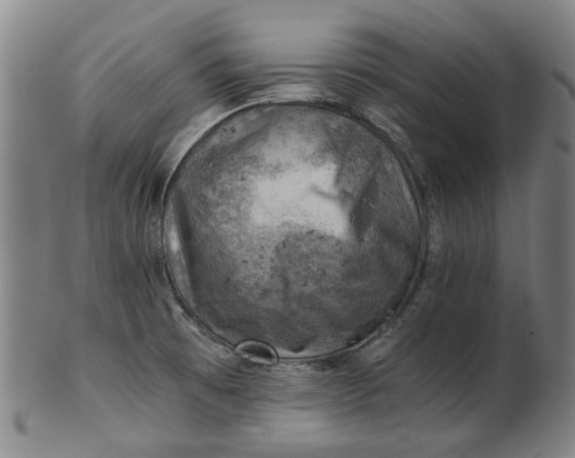 X0000101651473200807241344