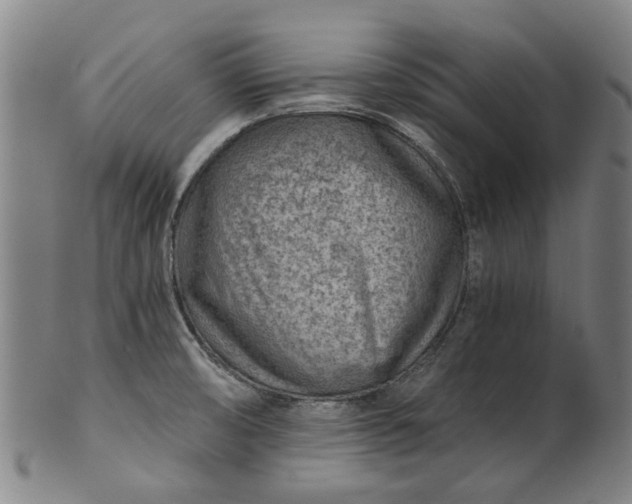 X0000101651474200807241344