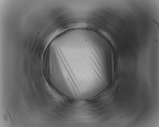 X0000101651475200807241344