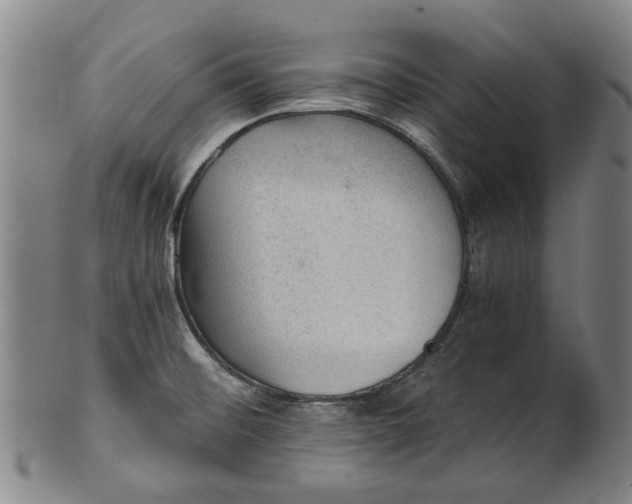 X0000101651476200807241344