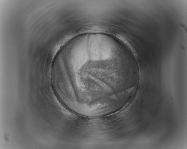 X0000101651477200807241344