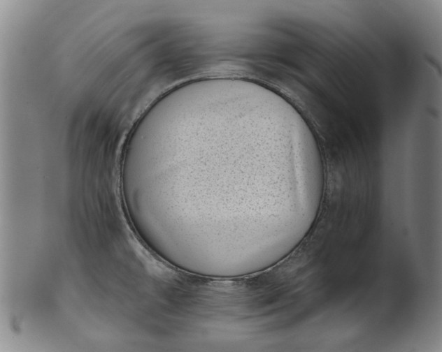 X0000101651478200807241344