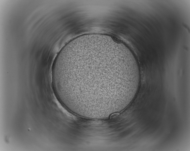 X0000101651479200807241344