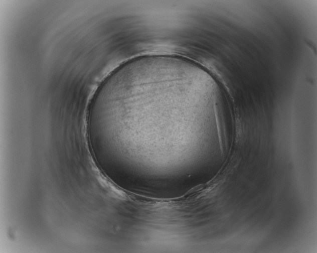 X0000101651480200807241344