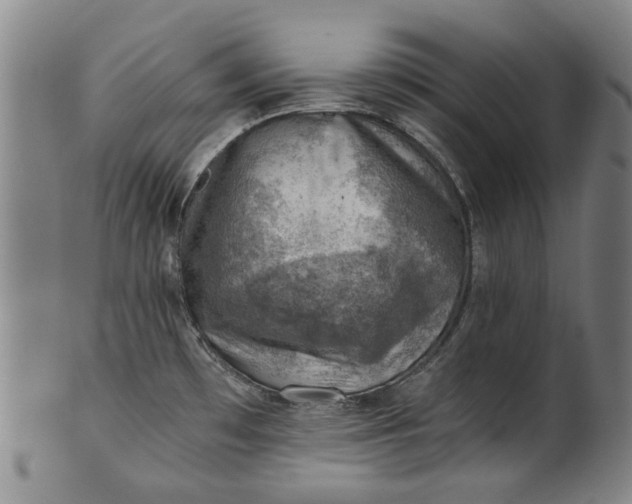 X0000101651481200807241344