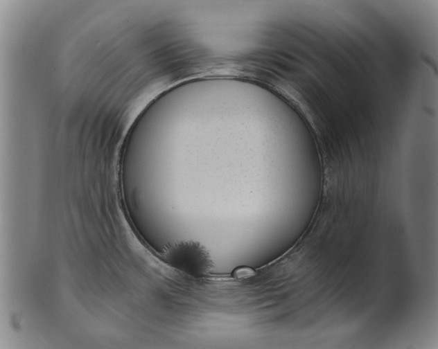 X0000101651483200807241344