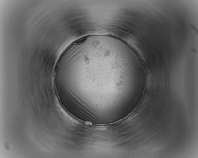 X0000101651484200807241344