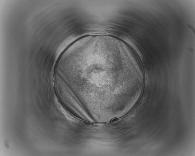 X0000101651485200807241344