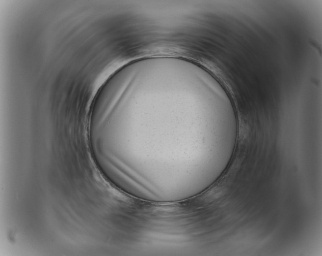 X0000101651486200807241344