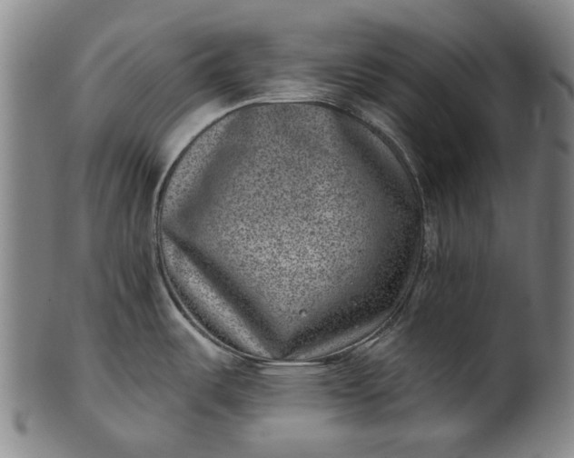 X0000101651487200807241344