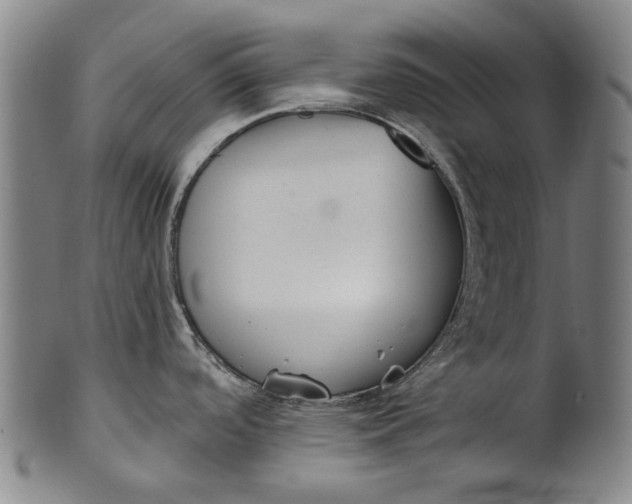 X0000101651488200807241344