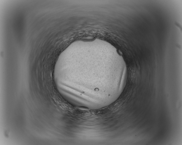 X0000101651489200807241343