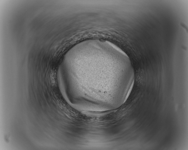 X0000101651490200807241343