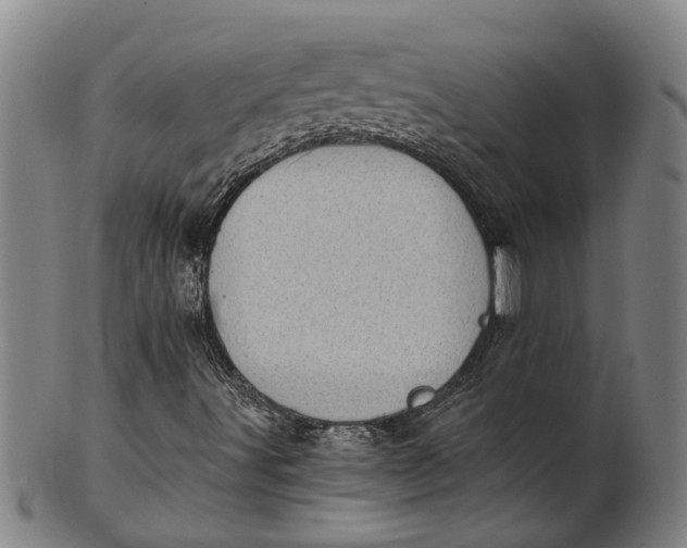 X0000101651491200807241343