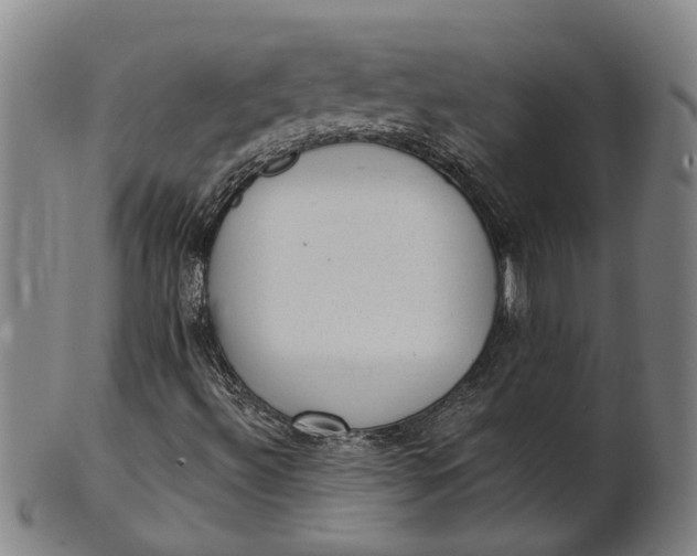 X0000101651492200807241343