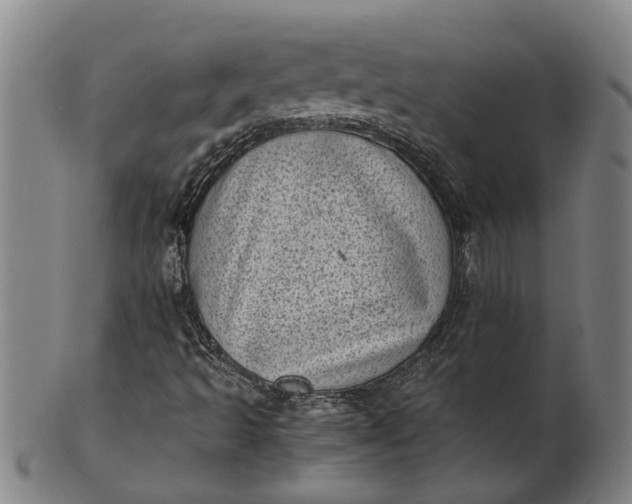 X0000101651493200807241343