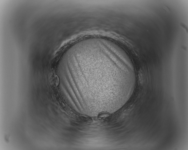 X0000101651494200807241343