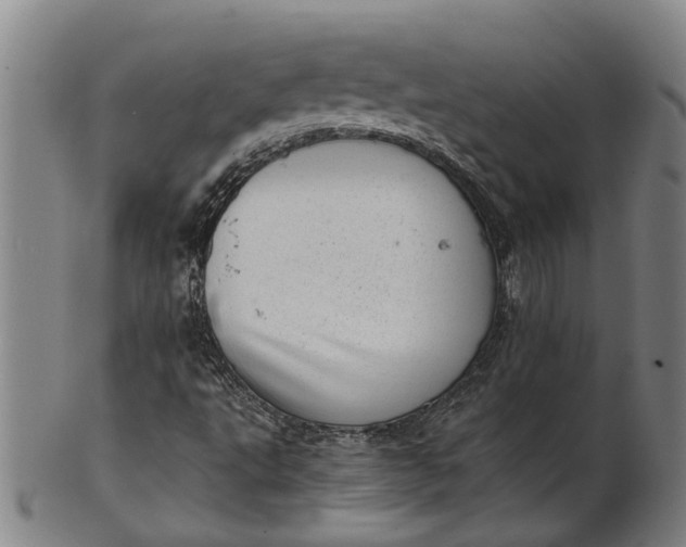 X0000101651495200807241343