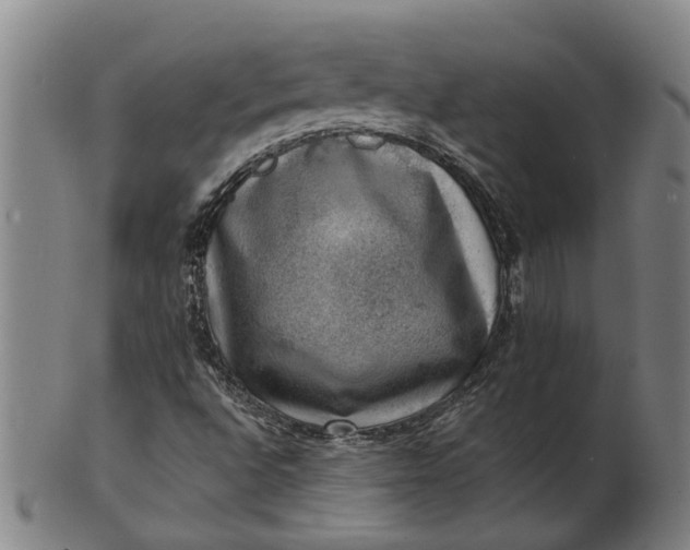 X0000101651496200807241343