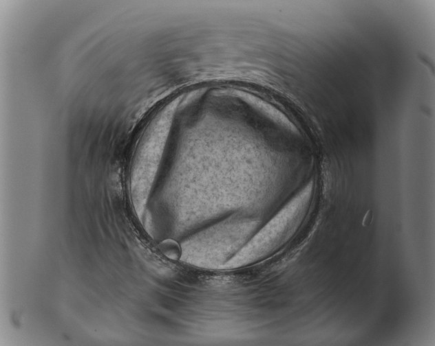 X0000101651497200807241343