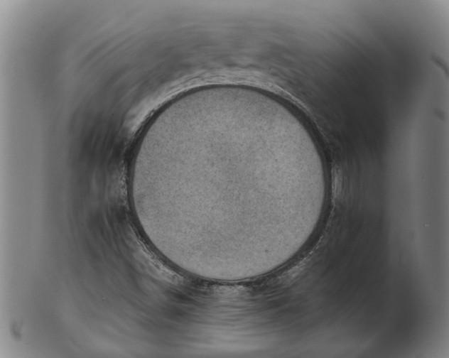 X0000101651498200807241343