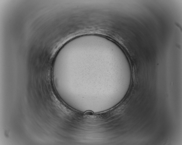 X0000101651500200807241343