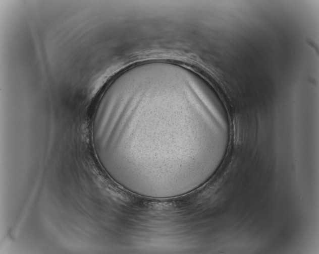 X0000101651501200807241343