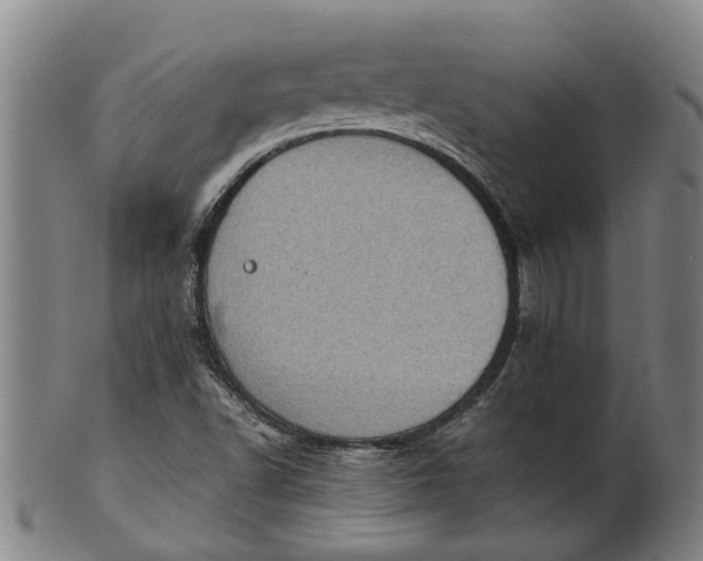 X0000101651502200807241343