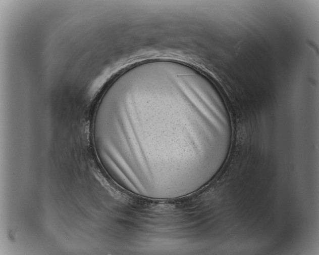 X0000101651503200807241343