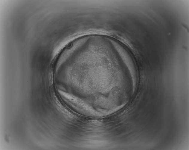 X0000101651504200807241343