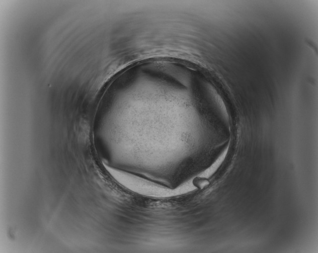 X0000101651505200807241343