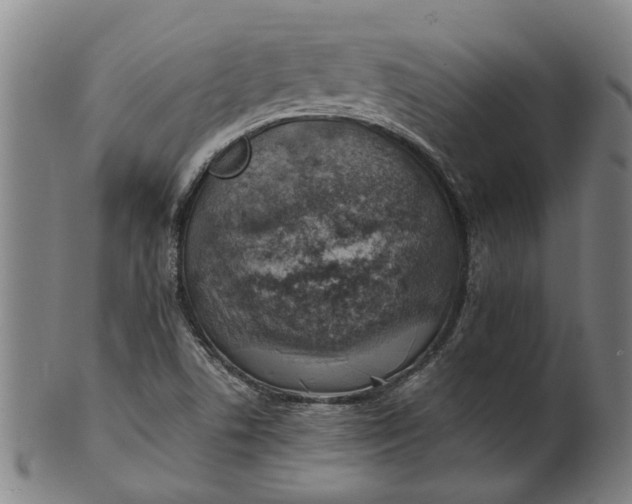 X0000101651506200807241343