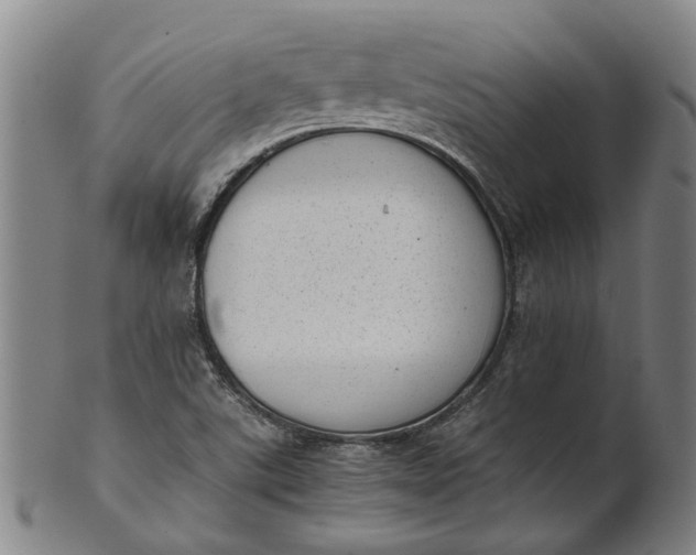 X0000101651507200807241343