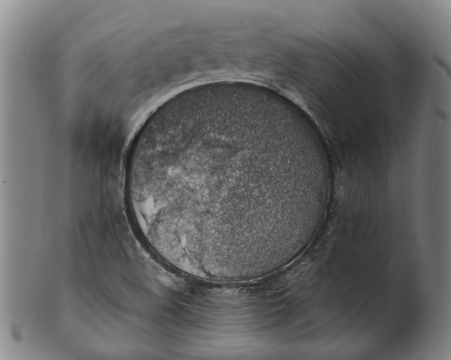 X0000101651508200807241343