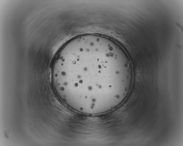 X0000101651509200807241343